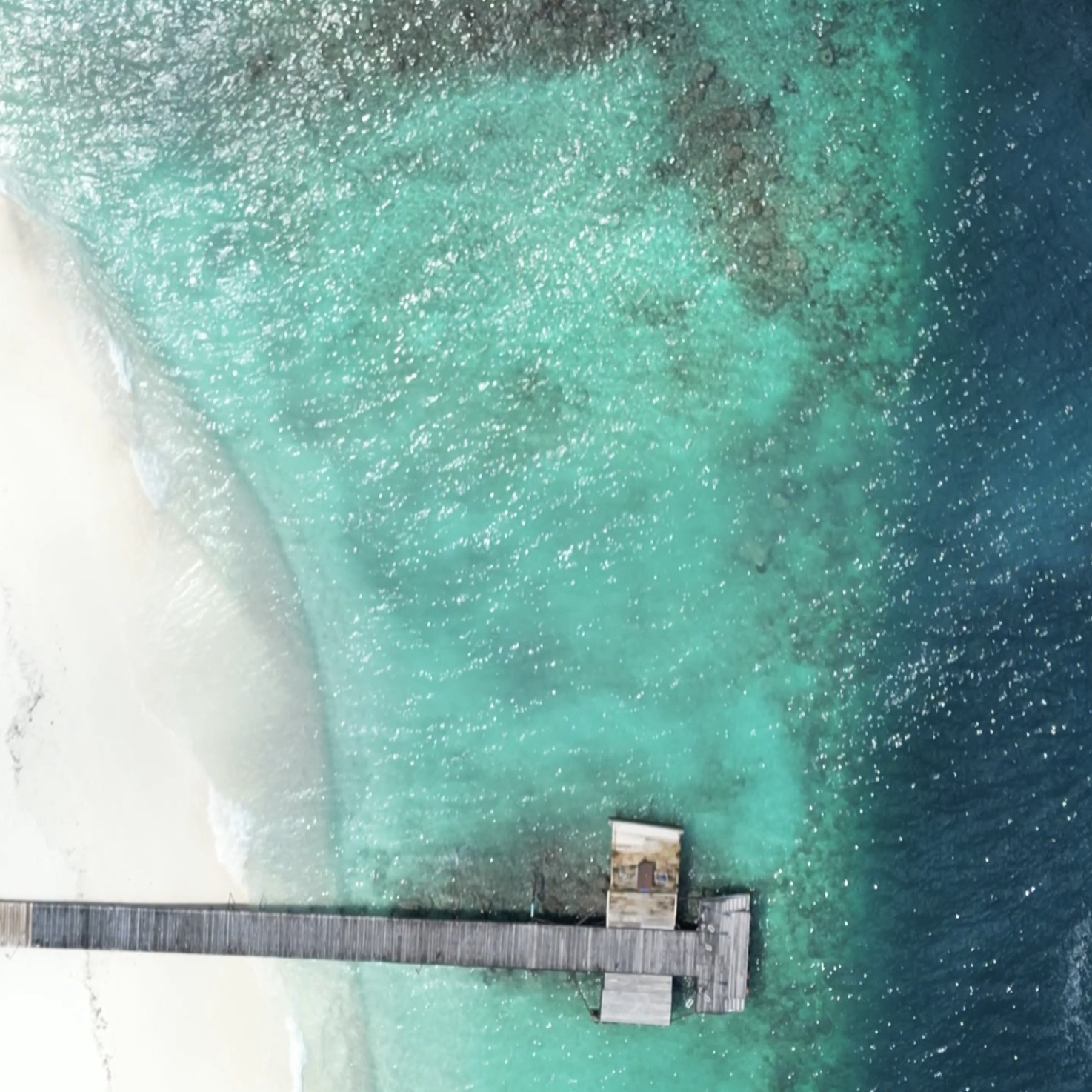 Screenshot 2025-09-22 at 12.43.02 PM.png